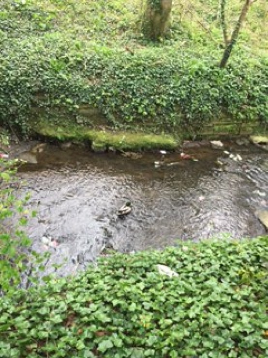 Images for Danes Road Manchester EAID:1234 BID:1234