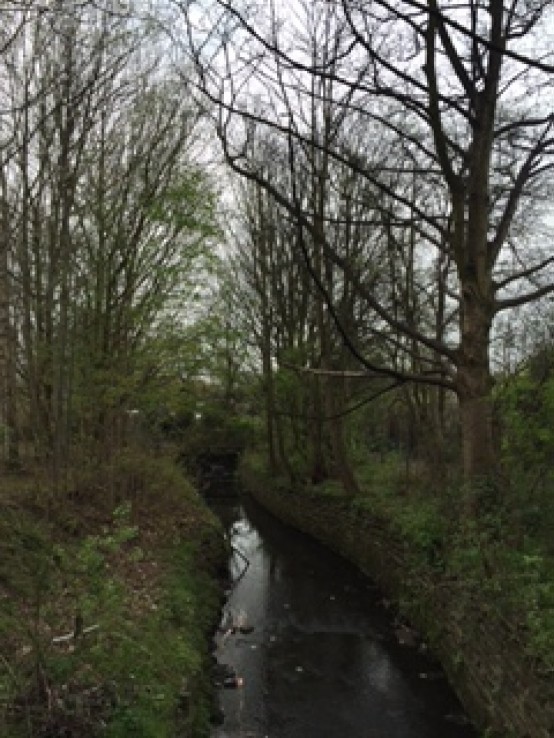 Images for Danes Road Manchester EAID:1234 BID:1234
