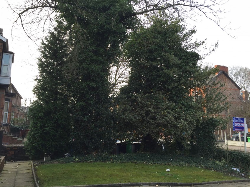 Images for Flat 4 34, Derby Road, Manchester, M14